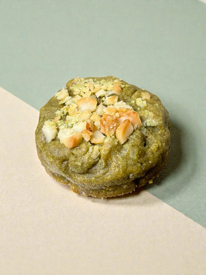 MATCHA - DAMIA - PISTORIA