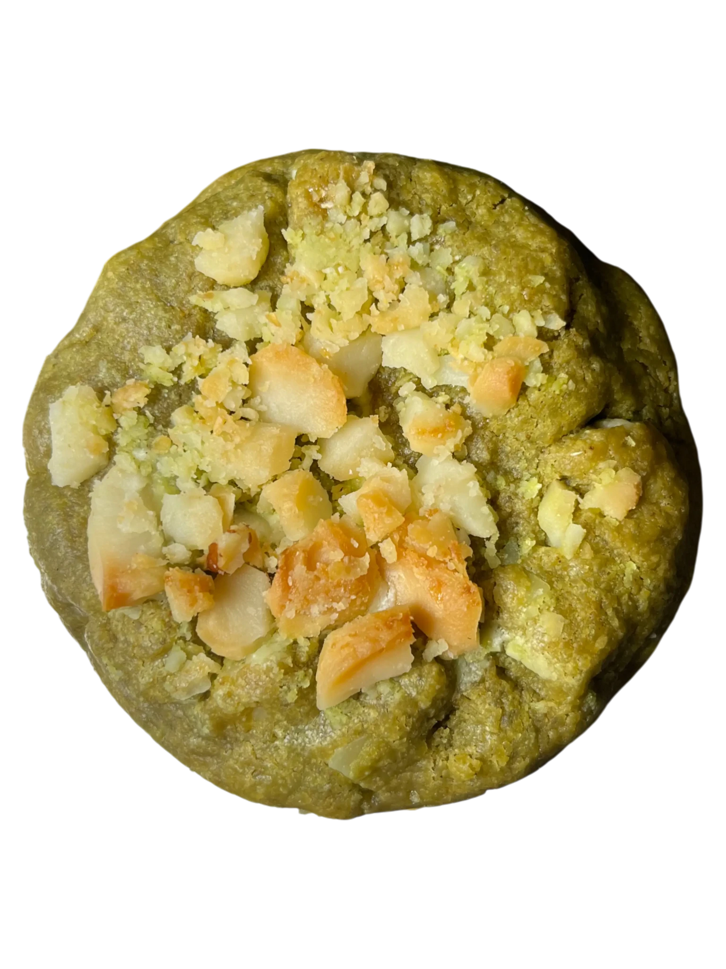 MATCHA - DAMIA - PISTORIA