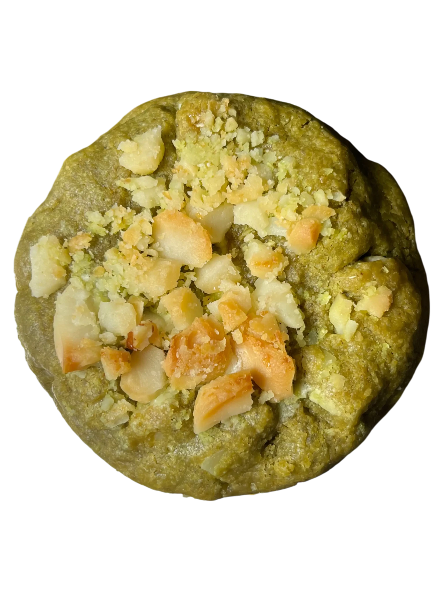 MATCHA - DAMIA - PISTORIA